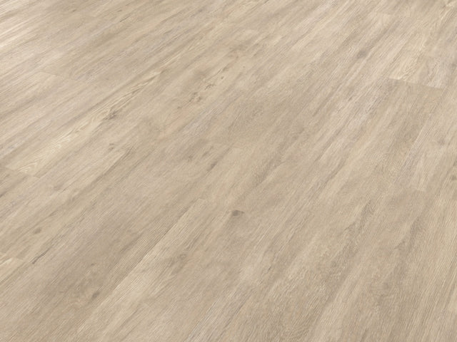 https://www.accesstoretail.com/uploads/partimages/430772_20240124120827_1024.jpeg