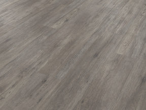 https://www.accesstoretail.com/uploads/partimages/430775_20240124122248_1024.jpeg
