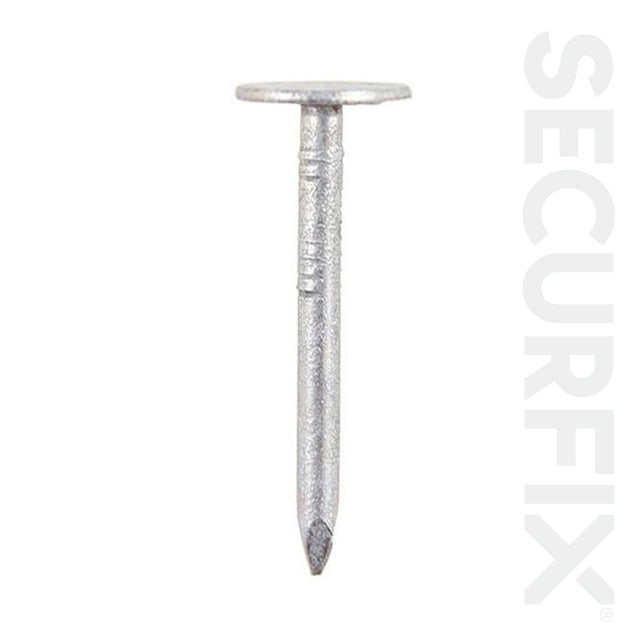 https://www.accesstoretail.com/uploads/partimages/431698_20210428125944_1024.jpg