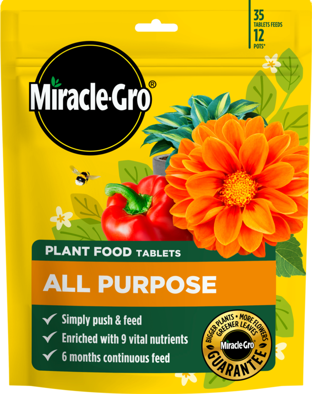 https://www.accesstoretail.com/uploads/partimages/437177_20260217092625_1024.png