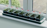 Garland Super 7 Electric Windowsill Propagator, a slim heated seed propagator with 7 mini vented lids, 76 x 18.5 x 15cm, 13 Watt, ideal for a windowsill.
