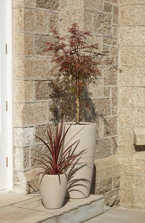 https://www.accesstoretail.com/uploads/partimages/437573_20231115114744_1024.jpg