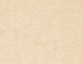 https://www.accesstoretail.com/uploads/partimages/439696_20220325112400_1024.JPG