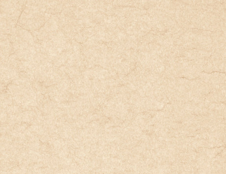 https://www.accesstoretail.com/uploads/partimages/439696_20220325112400_1024.JPG