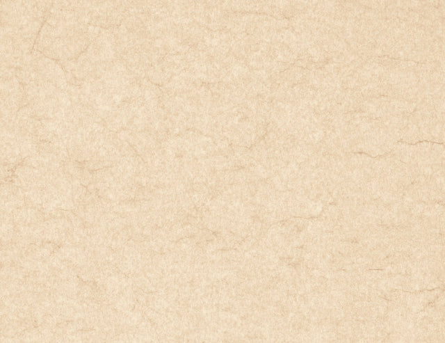 https://www.accesstoretail.com/uploads/partimages/439696_20220325112400_1024.JPG