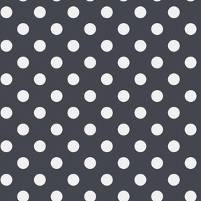 https://www.accesstoretail.com/uploads/partimages/439699_20220325111413_1024.JPG