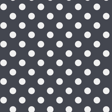 https://www.accesstoretail.com/uploads/partimages/439699_20220325111413_1024.JPG