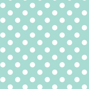 https://www.accesstoretail.com/uploads/partimages/439704_20220325110918_1024.JPG