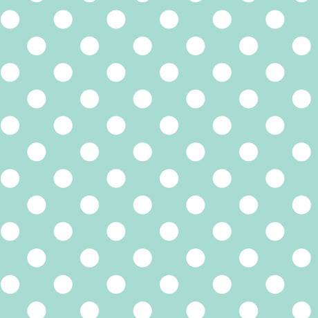 https://www.accesstoretail.com/uploads/partimages/439704_20220325110918_1024.JPG