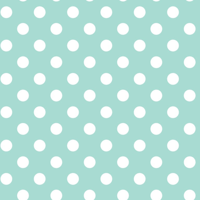https://www.accesstoretail.com/uploads/partimages/439704_20220325110918_1024.JPG