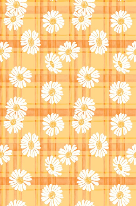 https://www.accesstoretail.com/uploads/partimages/439737_20220325114230_1024.JPG