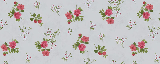 https://www.accesstoretail.com/uploads/partimages/439818_20220325124433_1024.JPG