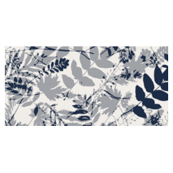 https://www.accesstoretail.com/uploads/partimages/440098_20220503152833_0250.png