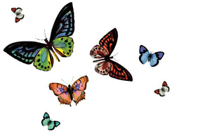 https://www.accesstoretail.com/uploads/partimages/440539_20220429171321_1024.JPG