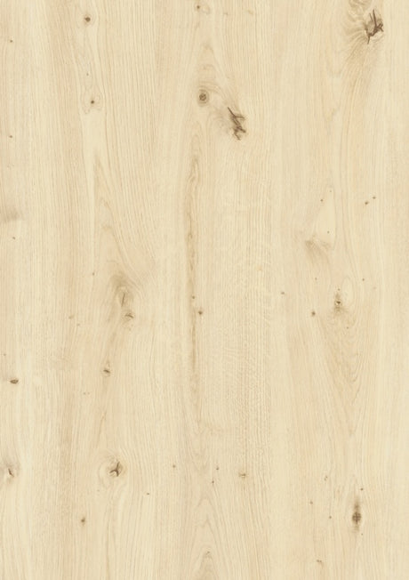 https://www.accesstoretail.com/uploads/partimages/442001_20220608144907_1024.JPG
