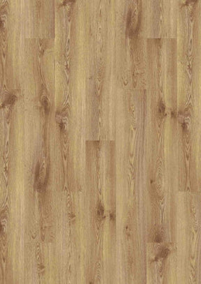 https://www.accesstoretail.com/uploads/partimages/443826_20230208143003_1024.jpg