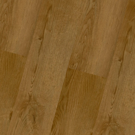 https://www.accesstoretail.com/uploads/partimages/444220_20220824144604_1024.jpg