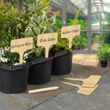 Pack of 10 Ambassador bamboo T shaped plant labels with a free pencil, an eco friendly alternative to plastic garden labels