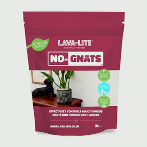 https://www.accesstoretail.com/uploads/partimages/445656_20221031132834_1024.jpg