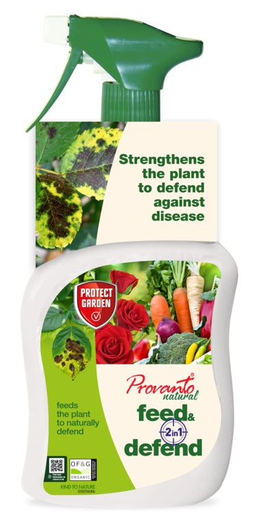 https://www.accesstoretail.com/uploads/partimages/445665_20231127125654_1024.jpg