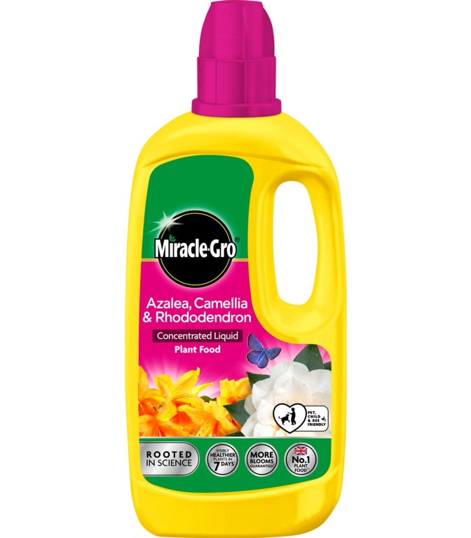 https://www.accesstoretail.com/uploads/partimages/446159_20221212143253_1024.jpg
