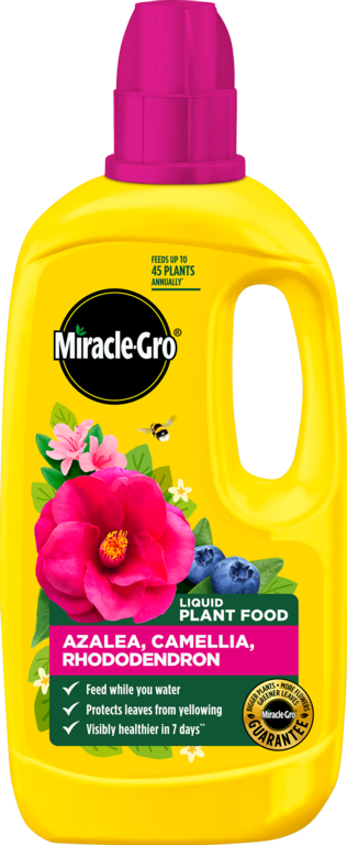https://www.accesstoretail.com/uploads/partimages/446159_20260217112440_1024.png
