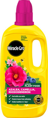 https://www.accesstoretail.com/uploads/partimages/446159_20260217112440_1024.png