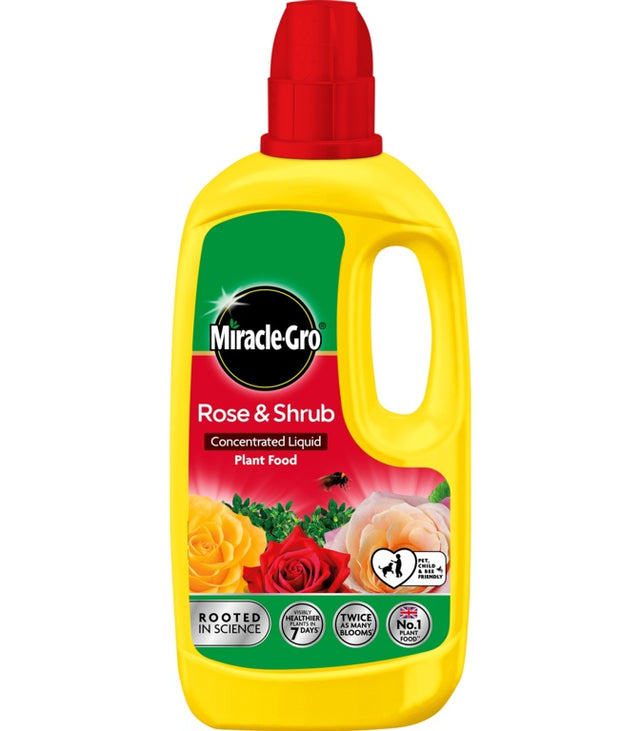 https://www.accesstoretail.com/uploads/partimages/446169_20221212143046_1024.jpg