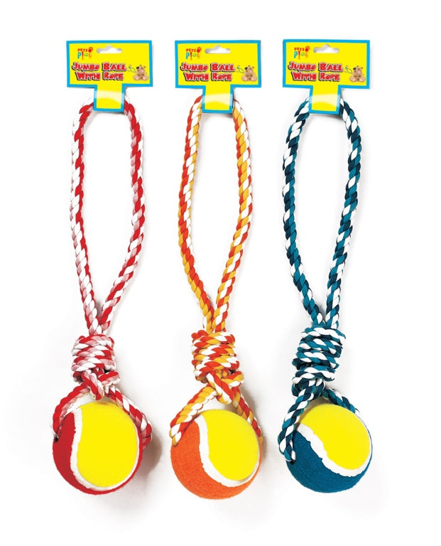 https://www.accesstoretail.com/uploads/partimages/447699_20230210155223_1024.jpg
