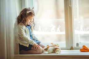 https://www.accesstoretail.com/uploads/partimages/448064_20230307164449_1024.JPG