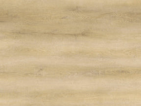 https://www.accesstoretail.com/uploads/partimages/451733_20240103095612_1024.jpg