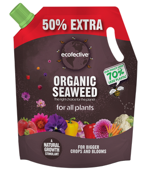 https://www.accesstoretail.com/uploads/partimages/454622_20240312172726_1024.png