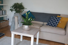 https://www.accesstoretail.com/uploads/partimages/455136_20240131114011_1024.JPG