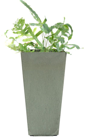 https://www.accesstoretail.com/uploads/partimages/455513_20240304130933_1024.jpeg
