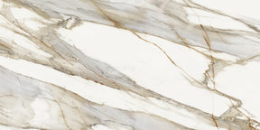 https://www.accesstoretail.com/uploads/partimages/456902_20240515150049_1024.jpg
