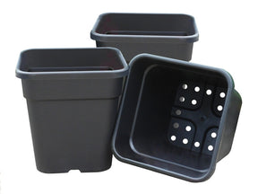 https://www.accesstoretail.com/uploads/partimages/460985_20241126161640_1024.jpg