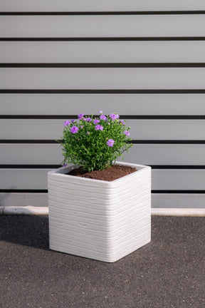 https://www.accesstoretail.com/uploads/partimages/461157_20241126154557_1024.jpg