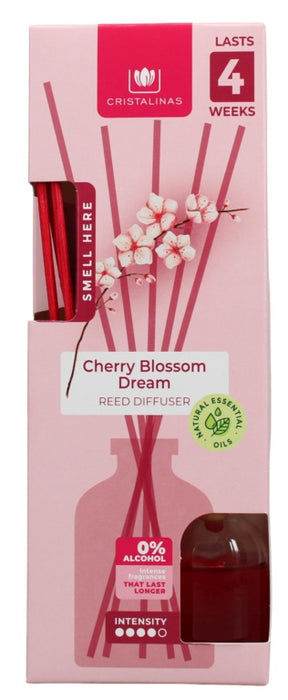 https://www.accesstoretail.com/uploads/partimages/465409_20250616102438_1024.jpg