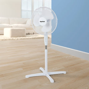 https://www.accesstoretail.com/uploads/partimages/47852_20240523113612_1024.jpg