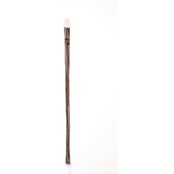 https://www.accesstoretail.com/uploads/partimages/600715_080711_250.jpg