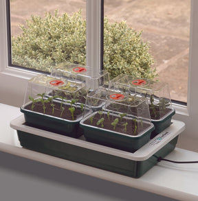 Garland Fab 4 Electric Propagator in green, a heated seed propagator with 4 individual mini vented propagators, 10 Watt fixed heat, not thermostatically controlled.