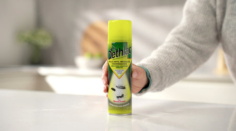 https://www.accesstoretail.com/uploads/partimages/628_20260115165328_1024.jpg
