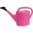 https://www.accesstoretail.com/uploads/partimages/702005pink_091007_250.jpg