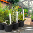 https://www.accesstoretail.com/uploads/partimages/78189_20200106115945_1024.jpg