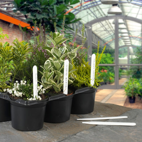 https://www.accesstoretail.com/uploads/partimages/83206_20200106115906_1024.jpg