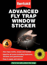 Rentokil Advanced Fly Trap window sticker, insecticide-free indoor fly trap, pack of 4