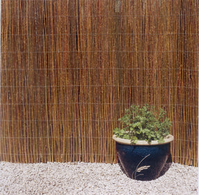 https://www.accesstoretail.com/uploads/partimages/ACF2DDB_1024.jpg
