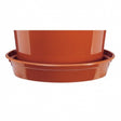 https://www.accesstoretail.com/uploads/partimages/ACF6D11_250.jpg