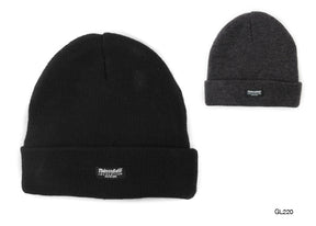 https://www.accesstoretail.com/uploads/partimages/GL220_1024.jpg