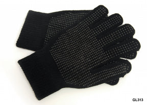 https://www.accesstoretail.com/uploads/partimages/GL313_1024.jpg